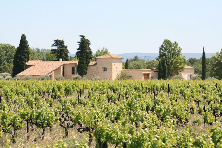 Domaine De Mas Caron - Vins, Gîtes et Huile d'Olive au pied du Ventoux en Provence