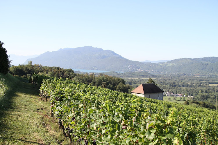 Caveau de Chautagne / Le Vigneron Savoyard
