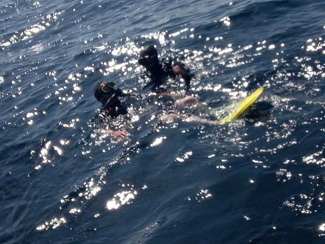 EASY DIVE Juan les Pins - Cap d'Antibes