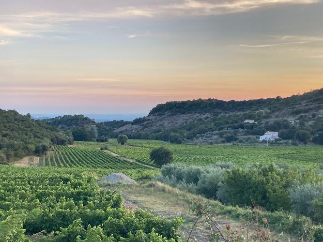 Entre Vignes et Lumières (Domaine de la Bouvaude)