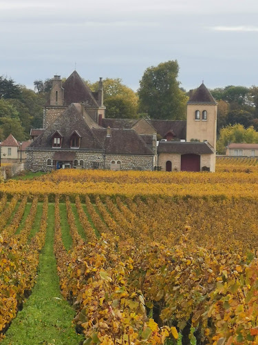 Vignoble de la côte de Nuits