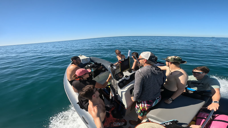 MT Freediving (école/club d'apnée)