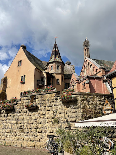 Domaine MANN - Vignoble des 3 Terres