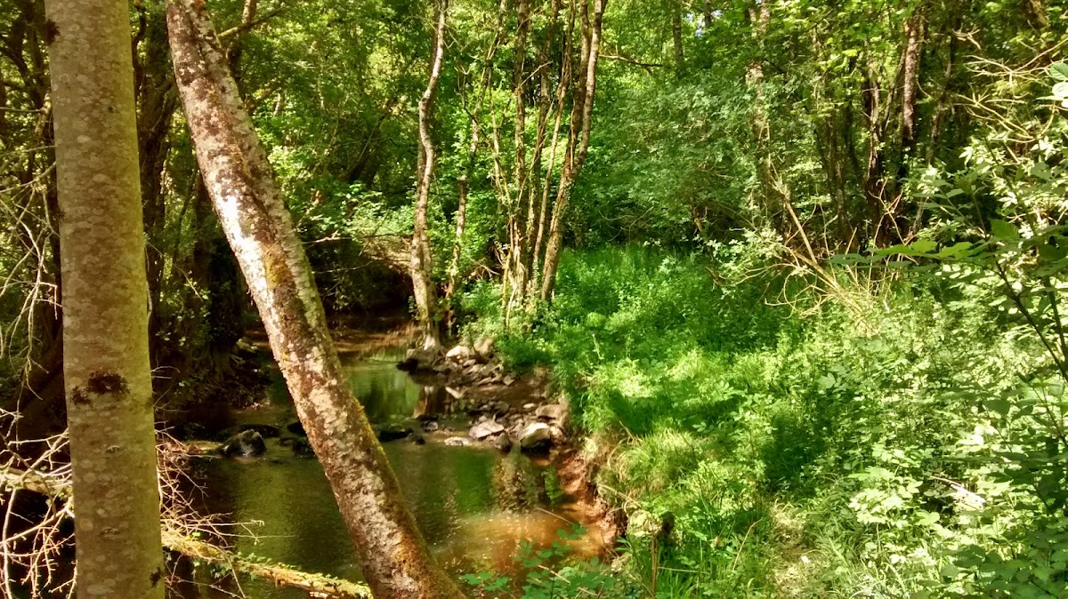 Vallée du Canut