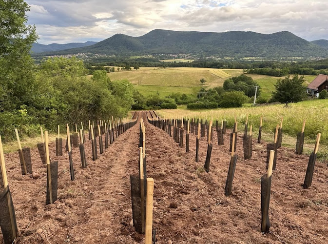 Domaine de l'AU-DELA