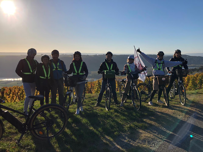 Wine and Ride Condrieu - visite des caves à vélo