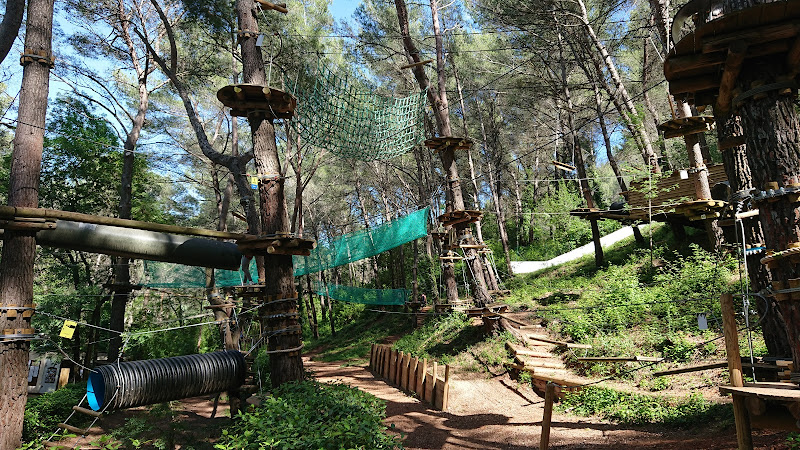 Le Royaume des Arbres Auriol