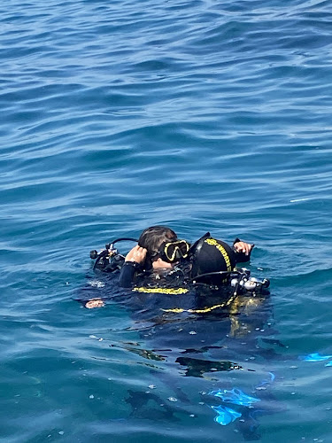 Ecole de Plongée Sétoise : Baptême de plongée - Snorkeling - Apnée