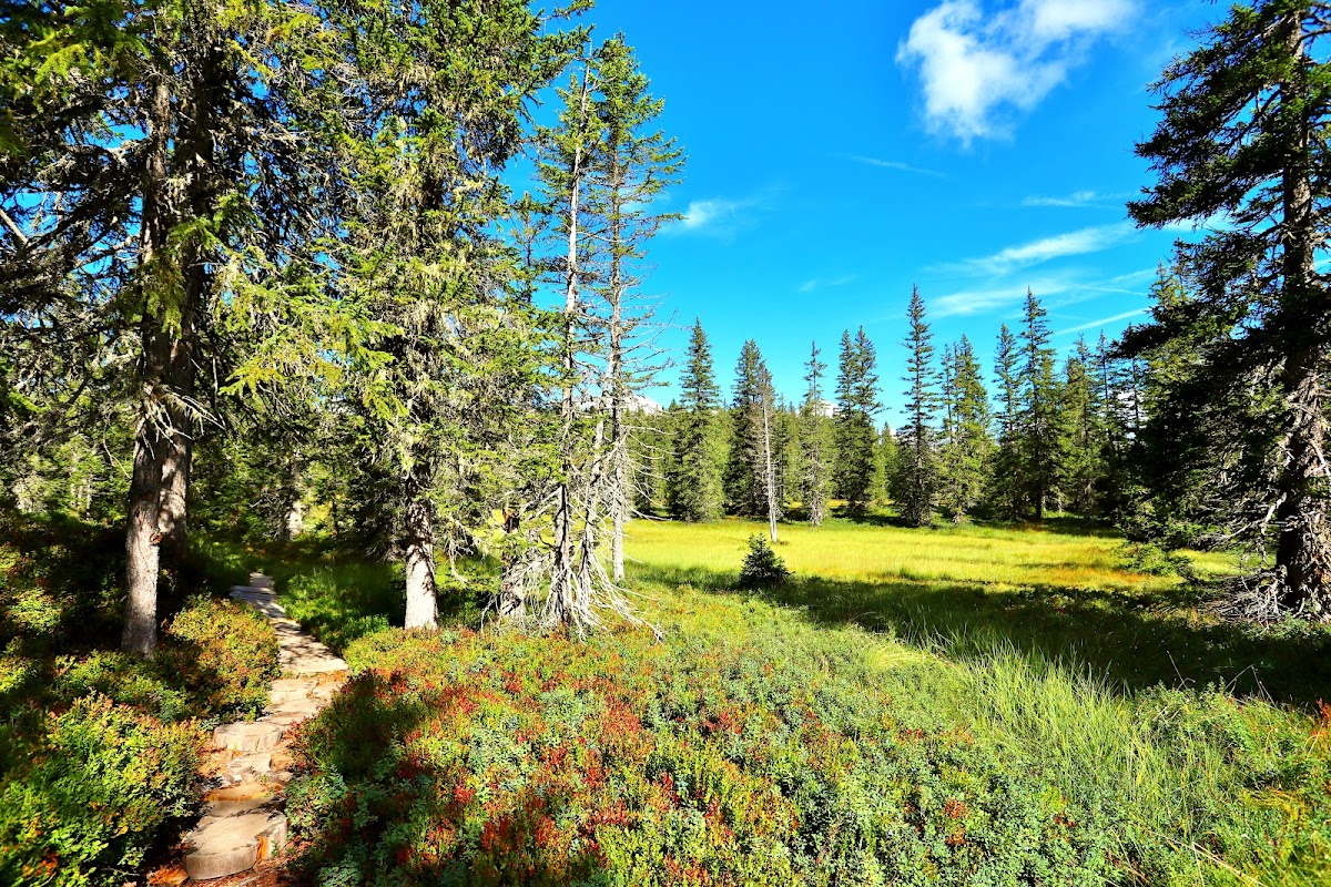 Sentier des Arpelières