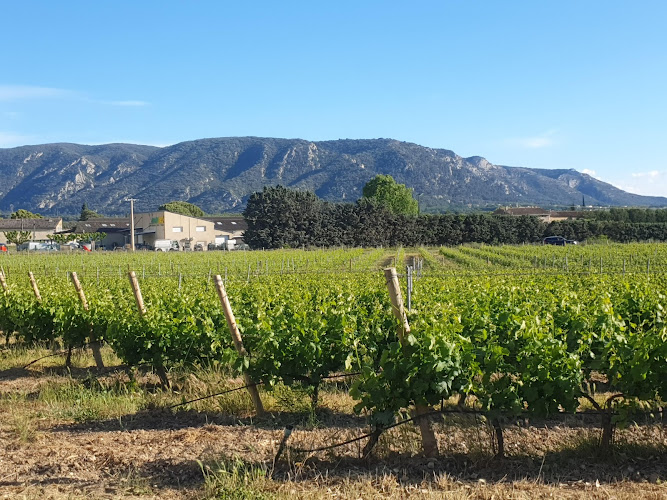 Domaine des Peyre