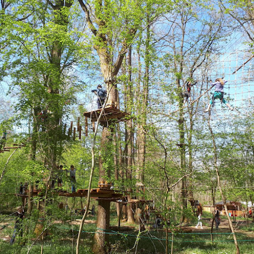 Forest Arena | Parc de loisirs IDF | Accrobranche 77