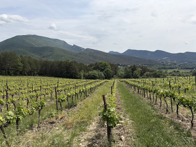 DOMAINE DU CHARDON BLEU