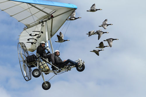 Voler avec les Oiseaux