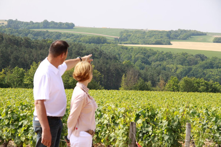 DOMAINE BOUSSARD Vins de Bourgogne