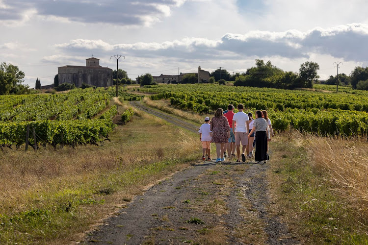 Vignoble H. BEGEY (Visites et Dégustation de Cognac, Pineau des Charentes)