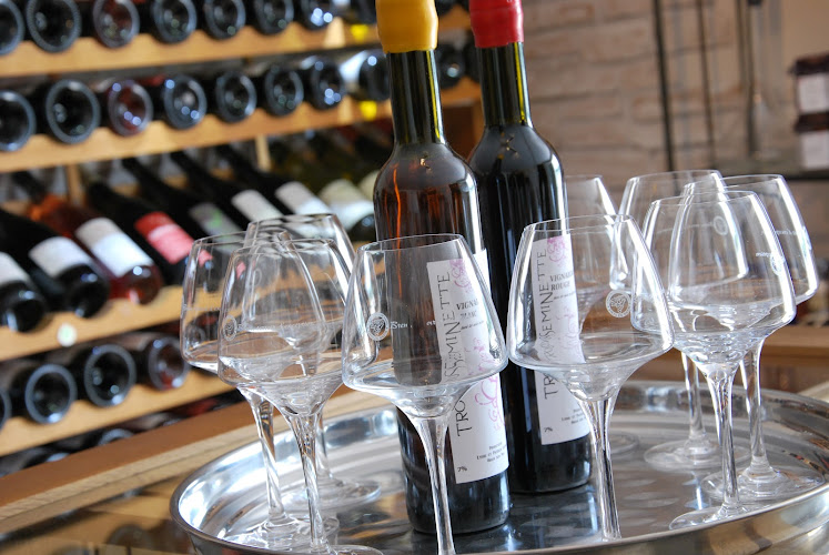 Cave à Vins - La Cave des Vignerons / Trousseminette