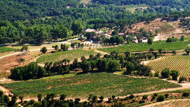 Domaine Sainte Marie