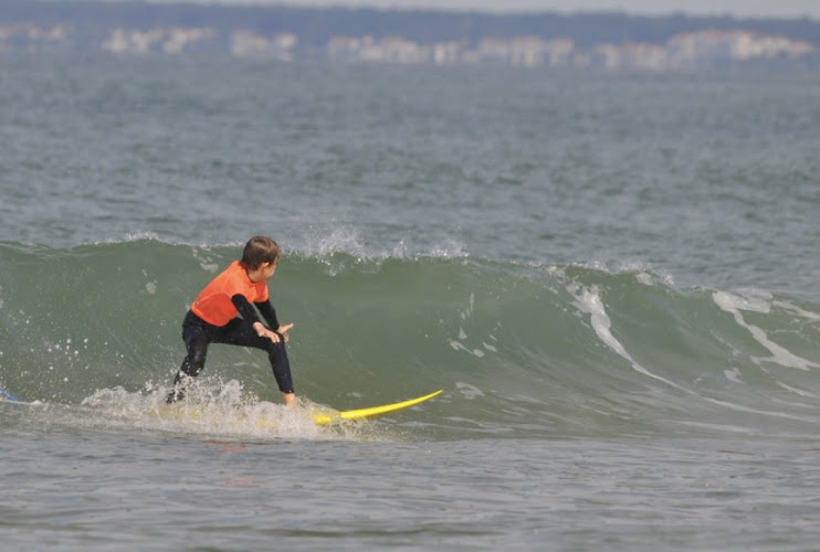 FREESURF SCHOOL 🏼‍ ️