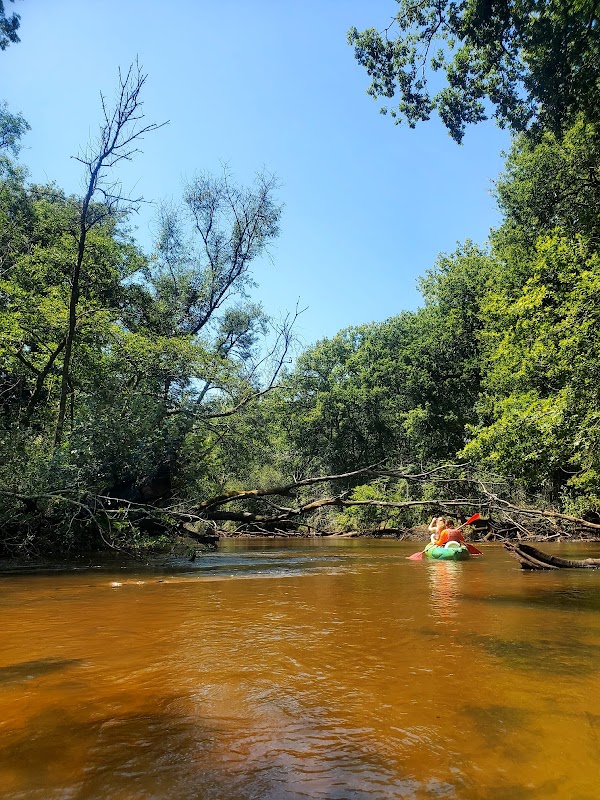 Cœur2Nature – Canoë sur la Leyre à Salles