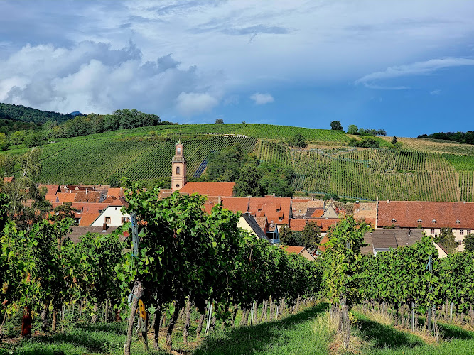 Domaine DOPFF AU MOULIN
