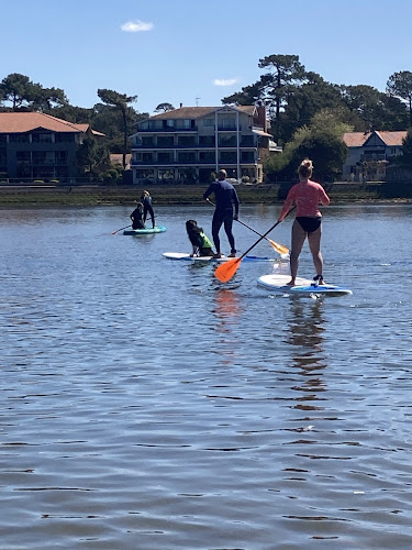 Location de Paddle à Hossegor - La Pagaye
