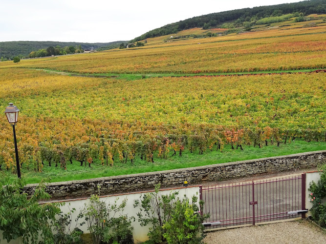 Domaine Le Clos des Mazières