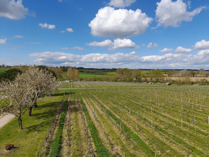 Domaine de Pied Flond