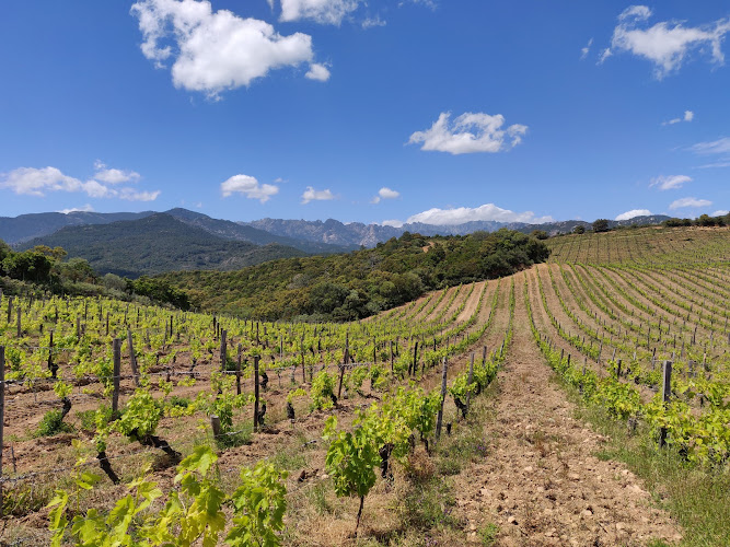 Domaine de Torraccia