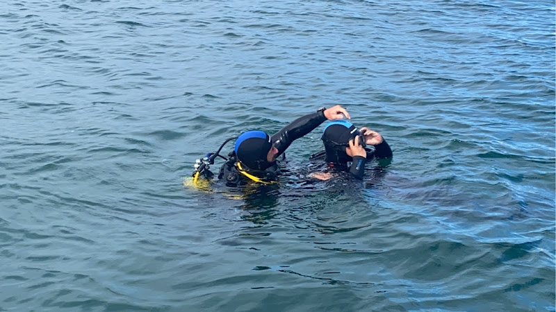 Immersion Plongée 85