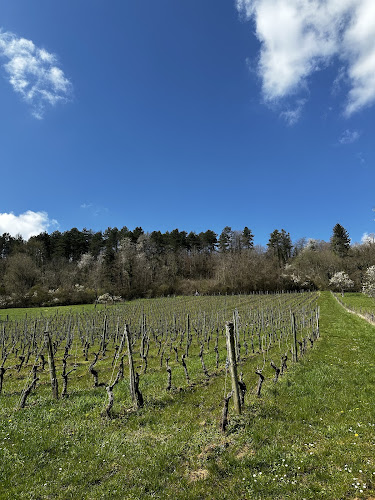 Domaine de Muzy