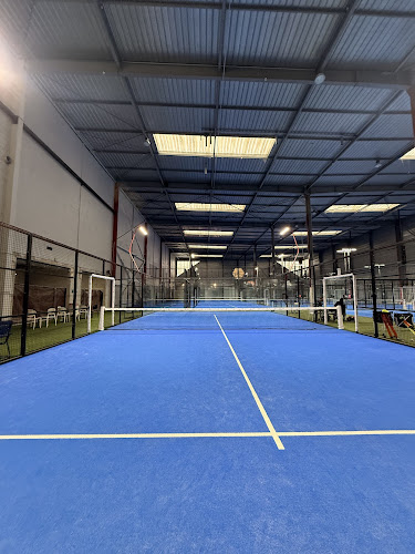 B14 - club de Padel, Badminton et Pickleball 🎾