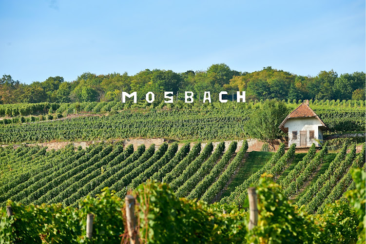 Vins d'Alsace Mosbach
