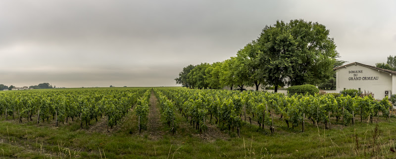 Domaine du Grand Ormeau