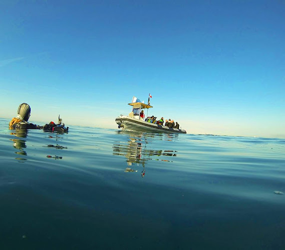 Plongée Passion Carry