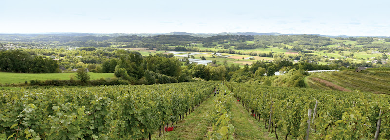 Coteaux de la Vézère