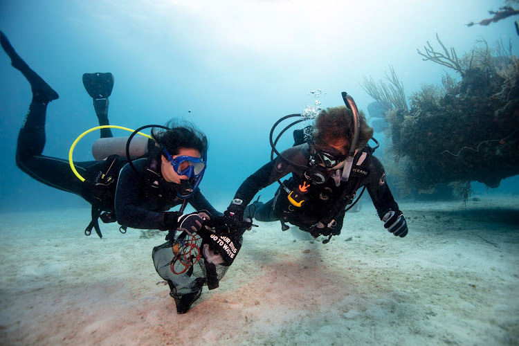 BLUE LIFE DIVING