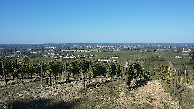Château Ladesvignes Scea