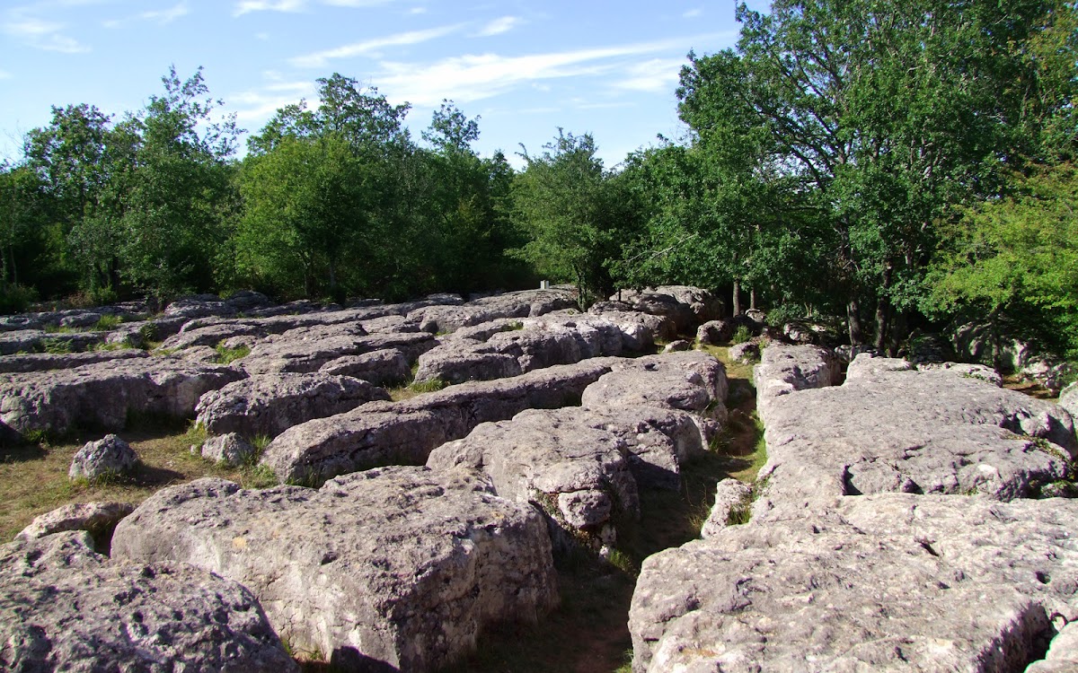 Forêt de Nébias