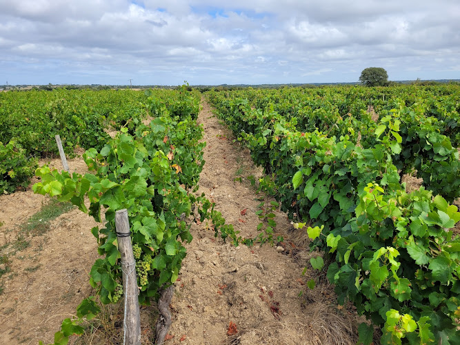Domaine Saint Nicolas