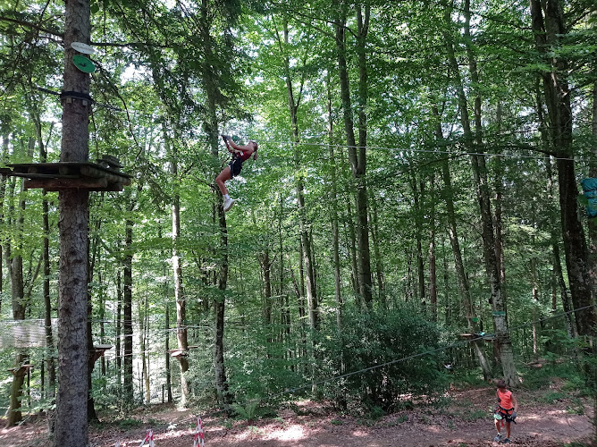 Aventure Parc Aramits - Accrobranche - Paintball