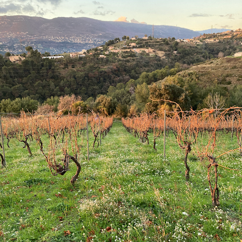 Domaine Saint Jean