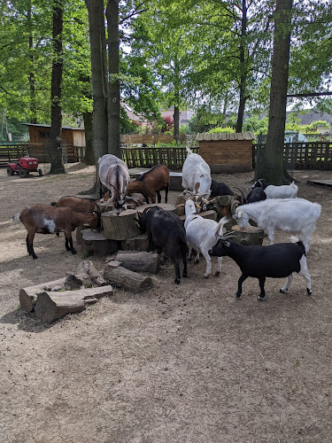 Ferme Rainbow