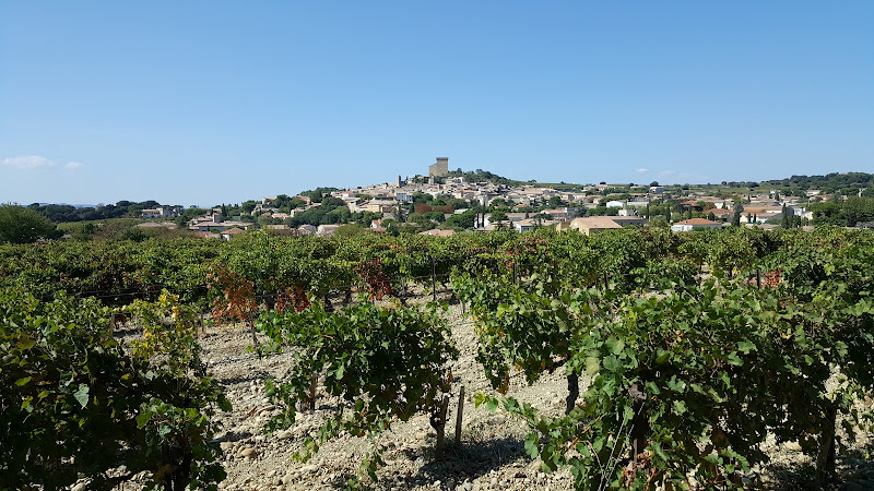Domaine de Beaurenard