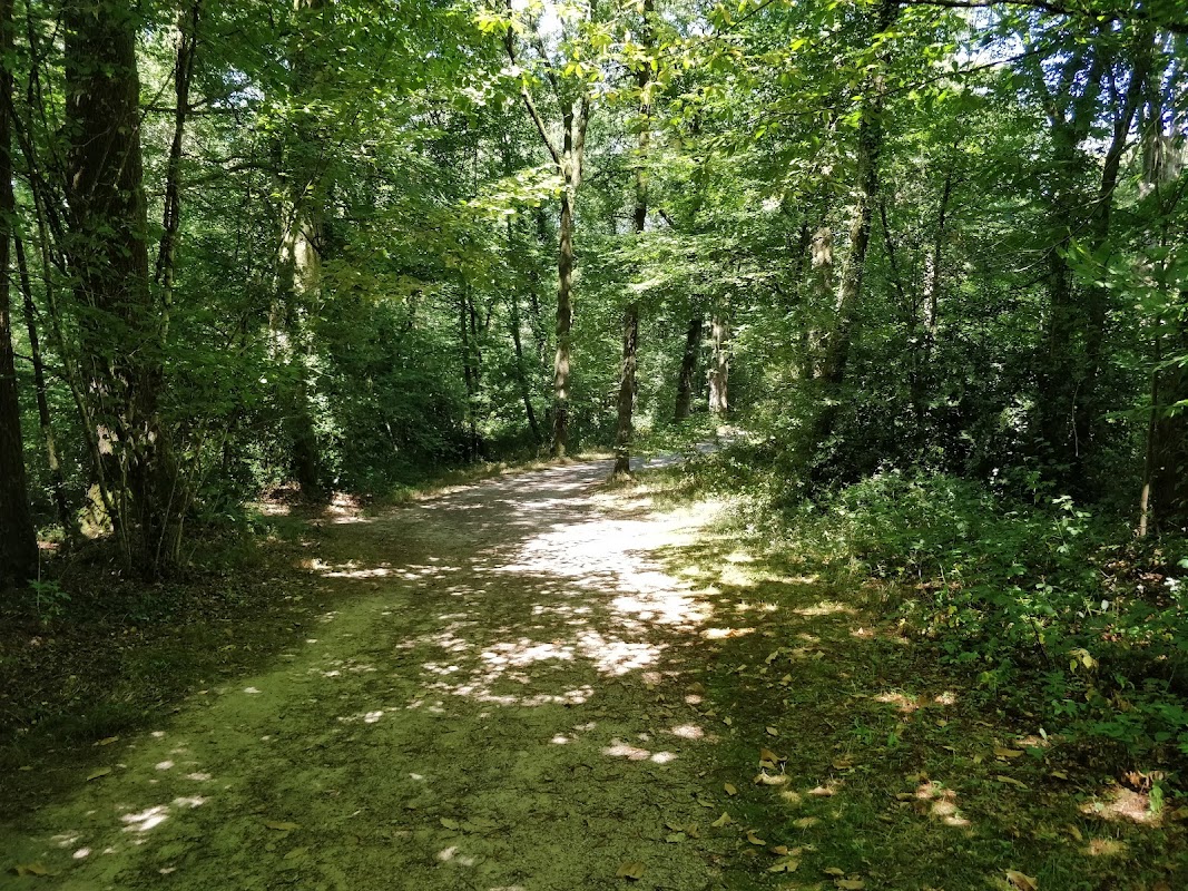 Bois de la Bastide