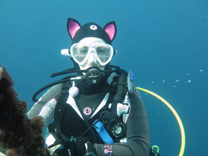 Etoile De Mer Senlisienne