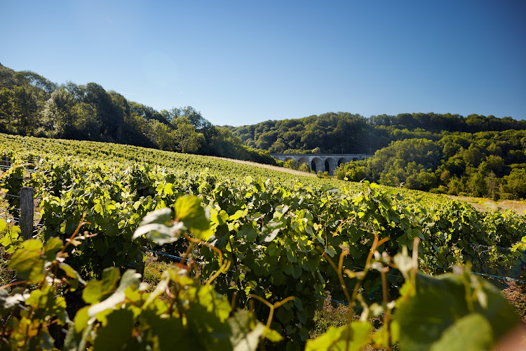 Domaine Rolet