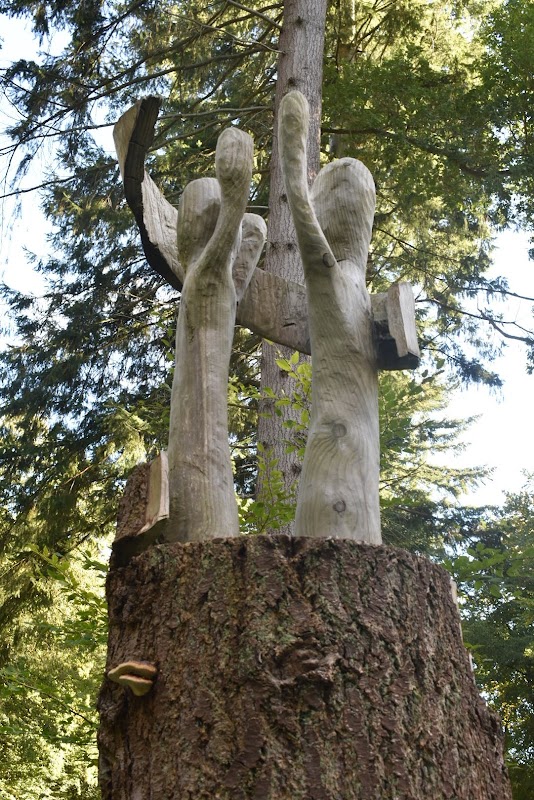 Forêt de Crécy - Allée des Géants
