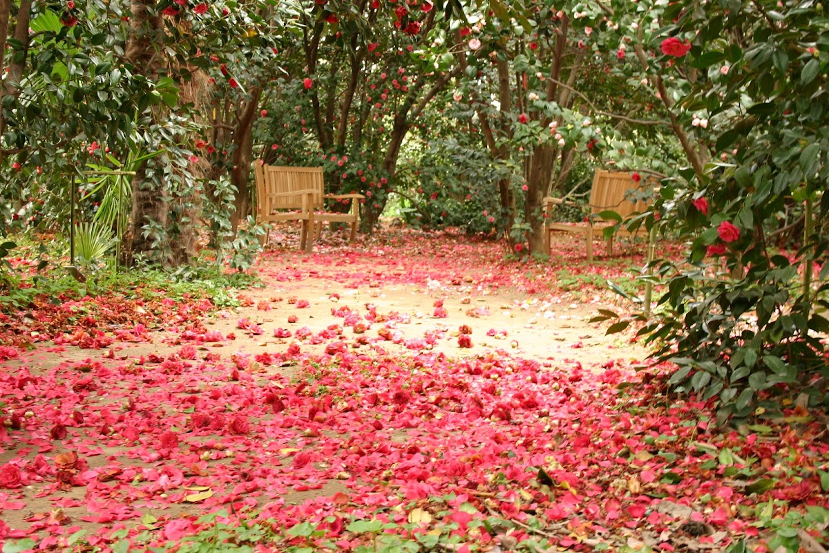 Parc Floral d'Alès