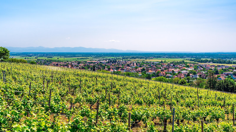 Domaine Weinzaepfel