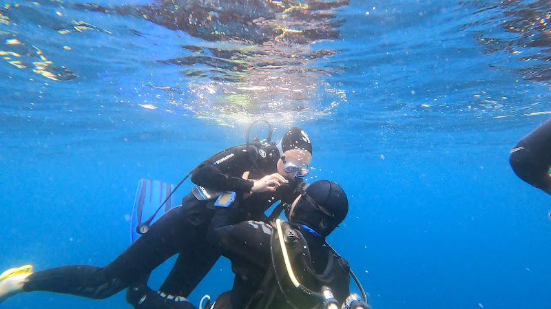 Nice Diving